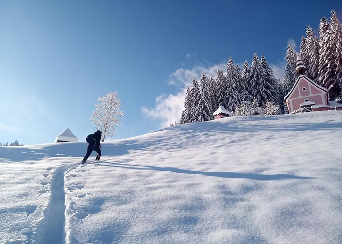 Dangos Mountainview Gosau