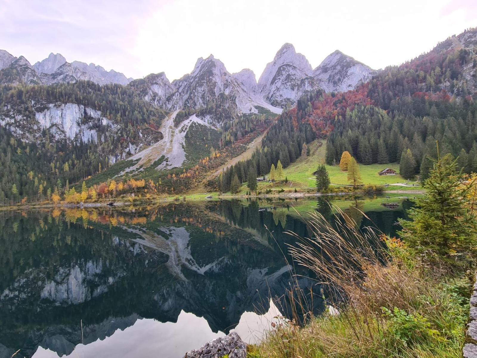 Apartment Dangos Mountainview Gosau