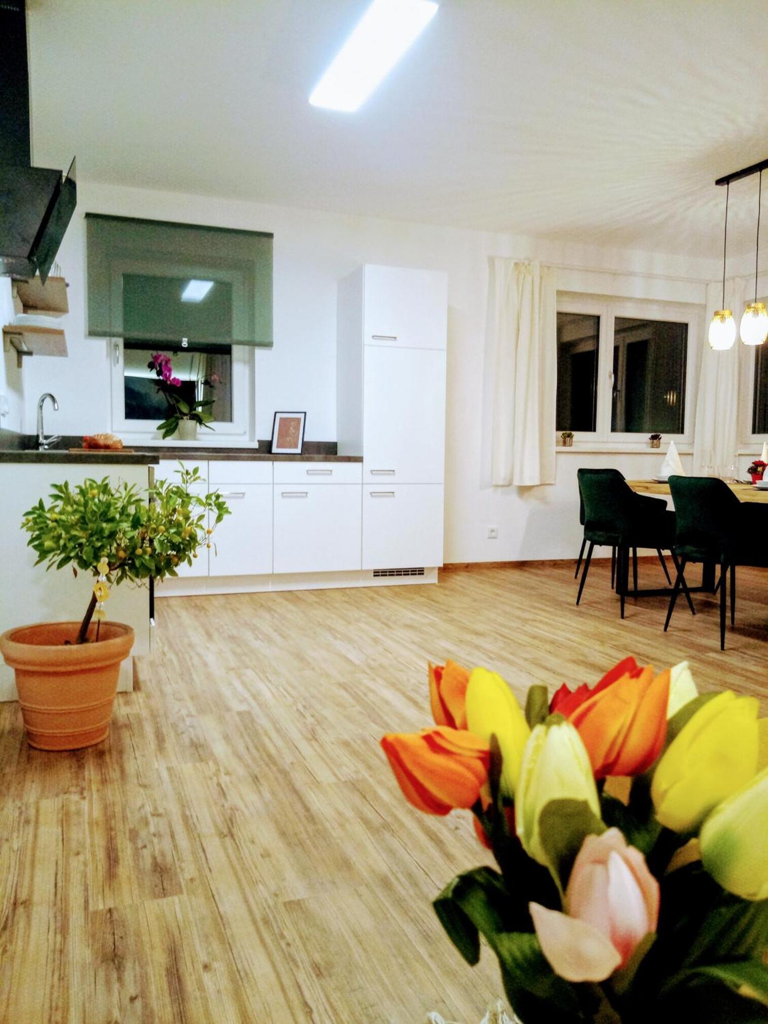 Dangos Mountainview Apartament